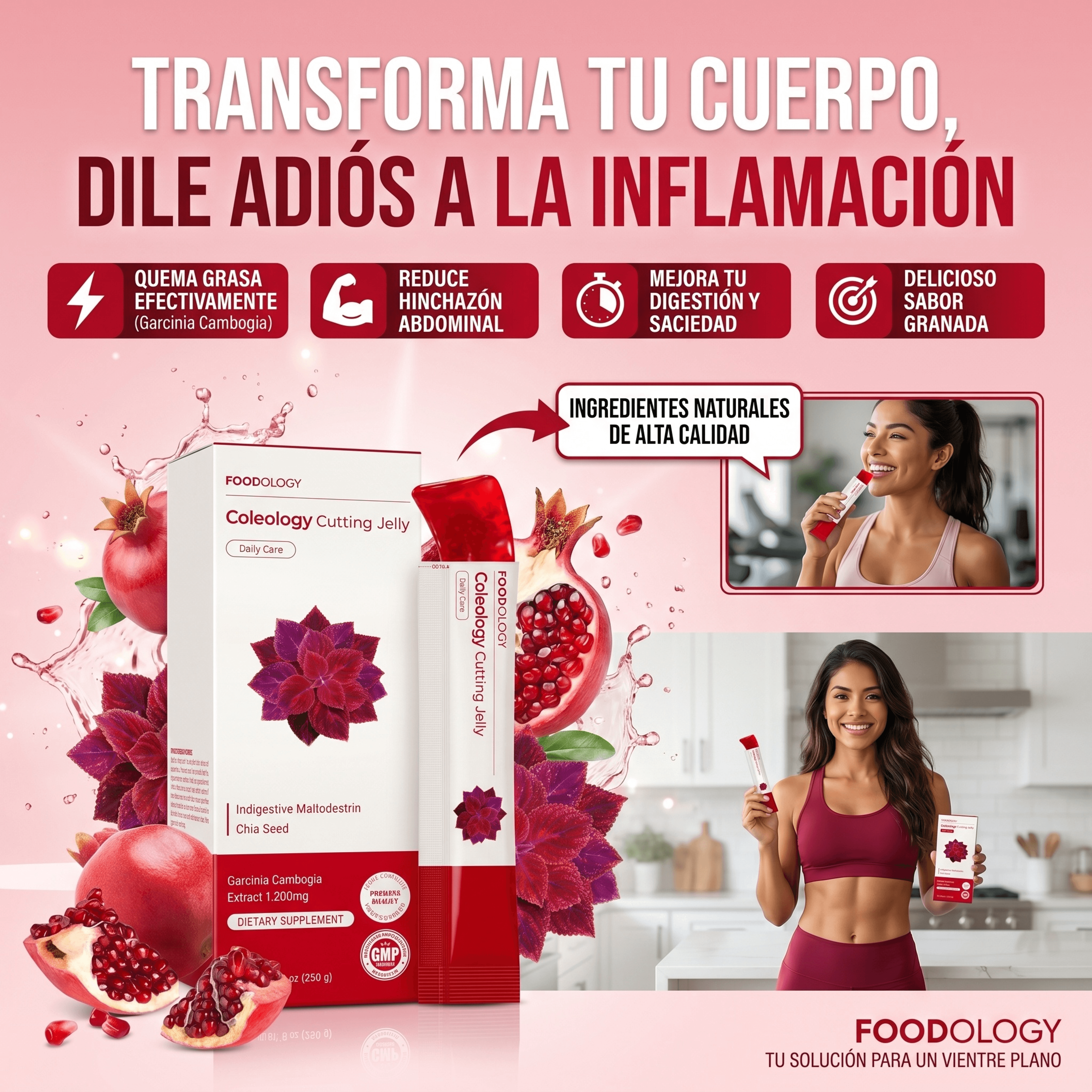 FoodLogy® - GELATINA QUEMA GRASA Y DESINSFLAMATORIO